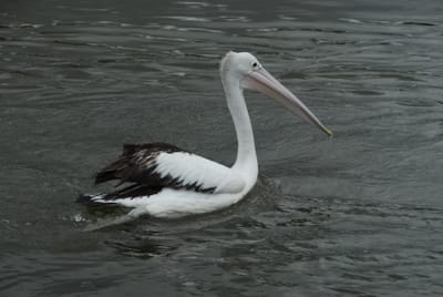 DSC_6800.JPG
