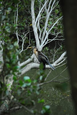 DSC_6803.JPG