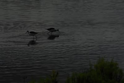 DSC_6804.JPG