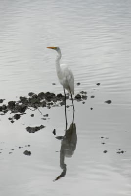 DSC_6806.JPG
