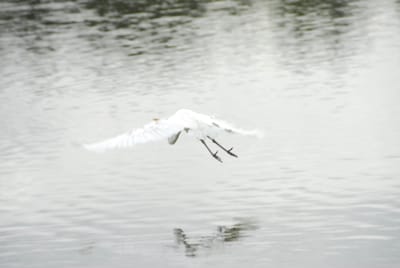 DSC_6808.JPG