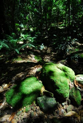 DSC_7393.JPG