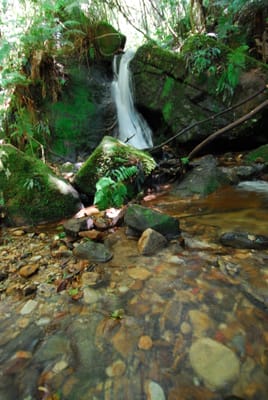 DSC_7397.JPG