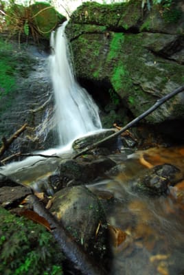 DSC_7398.JPG