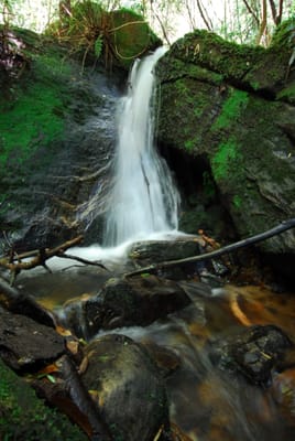 DSC_7400.JPG