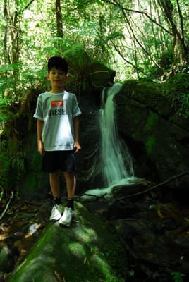 DSC_7401.JPG