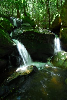 DSC_7402.JPG