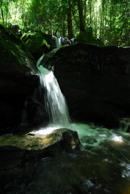 DSC_7403.JPG