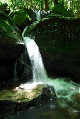 DSC_7404.JPG