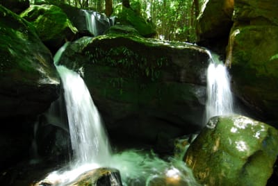 DSC_7405.JPG