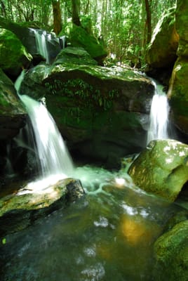 DSC_7407.JPG