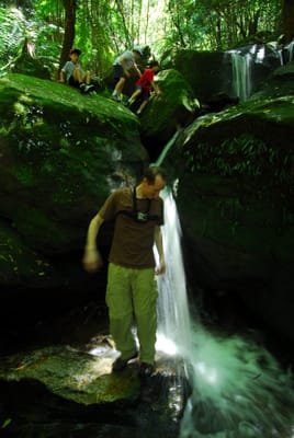 DSC_7409.JPG