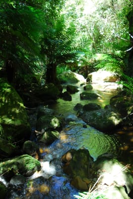 DSC_7410.JPG