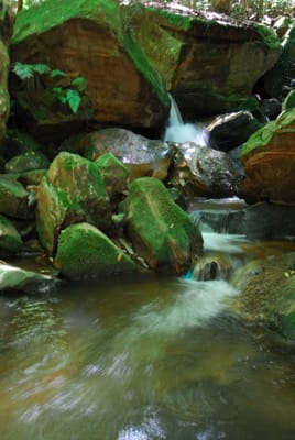DSC_7412.JPG