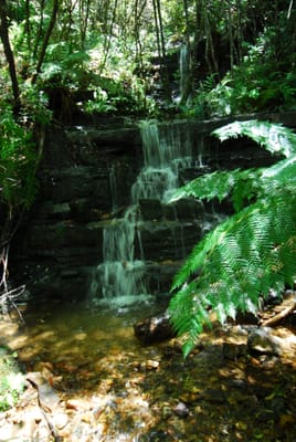 DSC_7419.JPG