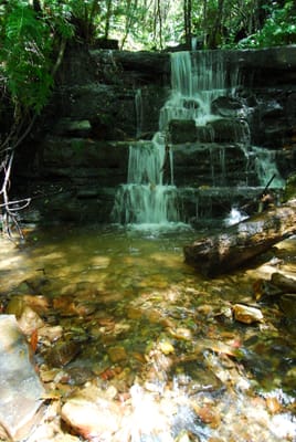 DSC_7420.JPG