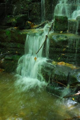 DSC_7426.JPG