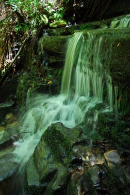 DSC_7430.JPG