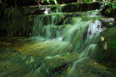 DSC_7431.JPG