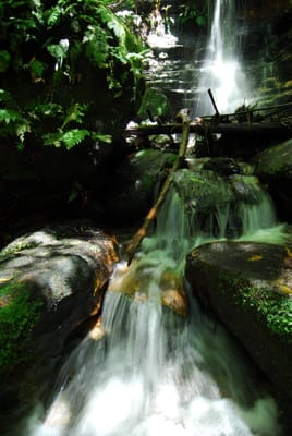 DSC_7439.JPG