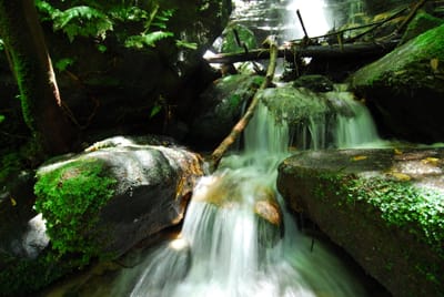 DSC_7440.JPG