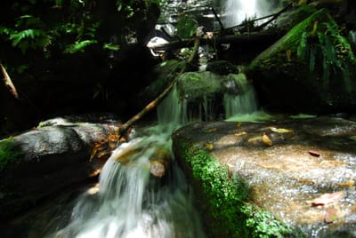 DSC_7441.JPG