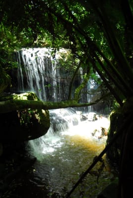 DSC_7465.JPG