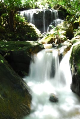 DSC_7479.JPG