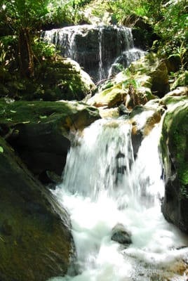 DSC_7482.JPG