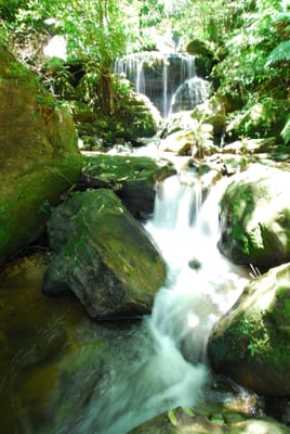DSC_7484.JPG
