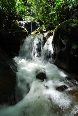 DSC_7487.JPG