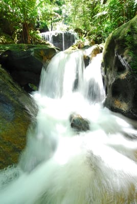 DSC_7489.JPG