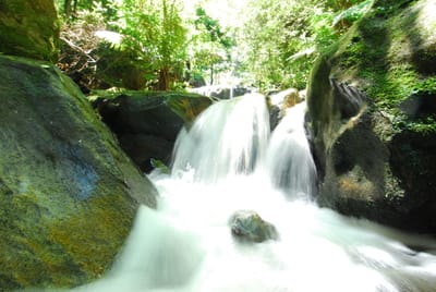 DSC_7493.JPG