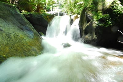 DSC_7495.JPG