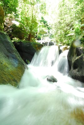 DSC_7496.JPG