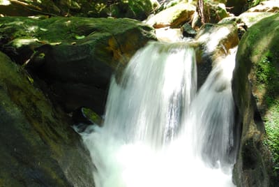 DSC_7498.JPG