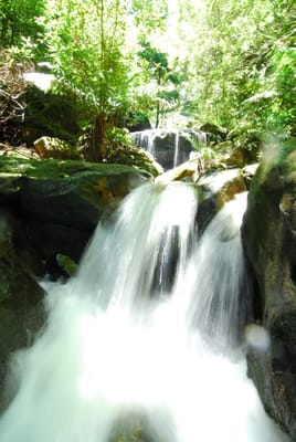 DSC_7499.JPG