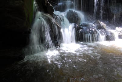 DSC_7506.JPG