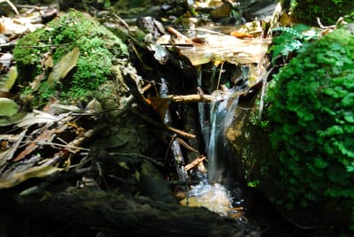 DSC_7510.JPG