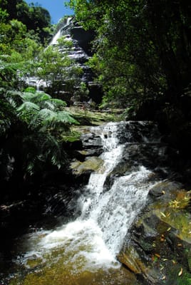 DSC_7517.JPG