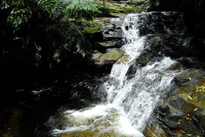 DSC_7518.JPG