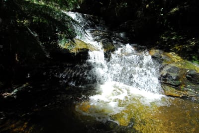 DSC_7525.JPG