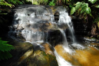 DSC_7560.JPG