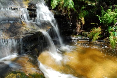 DSC_7561.JPG