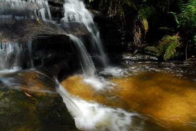 DSC_7562.JPG