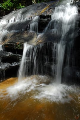 DSC_7568.JPG