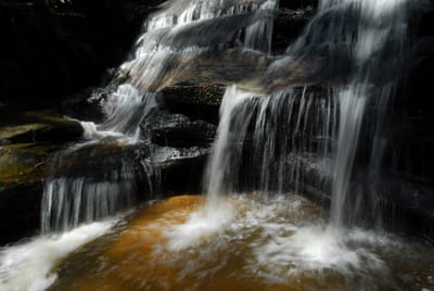 DSC_7569.JPG