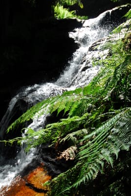 DSC_7571.JPG