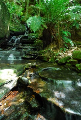 DSC_7610.JPG