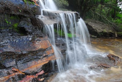 DSC_7632.JPG